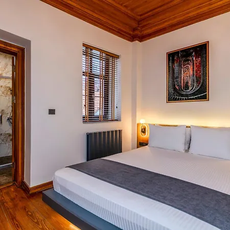 Taksim Istiklal Bosphorus Flat איסטמבול