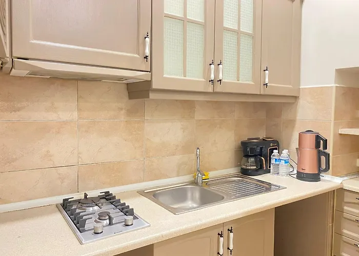 Taksim Istiklal Bosphorus Flat * איסטמבול